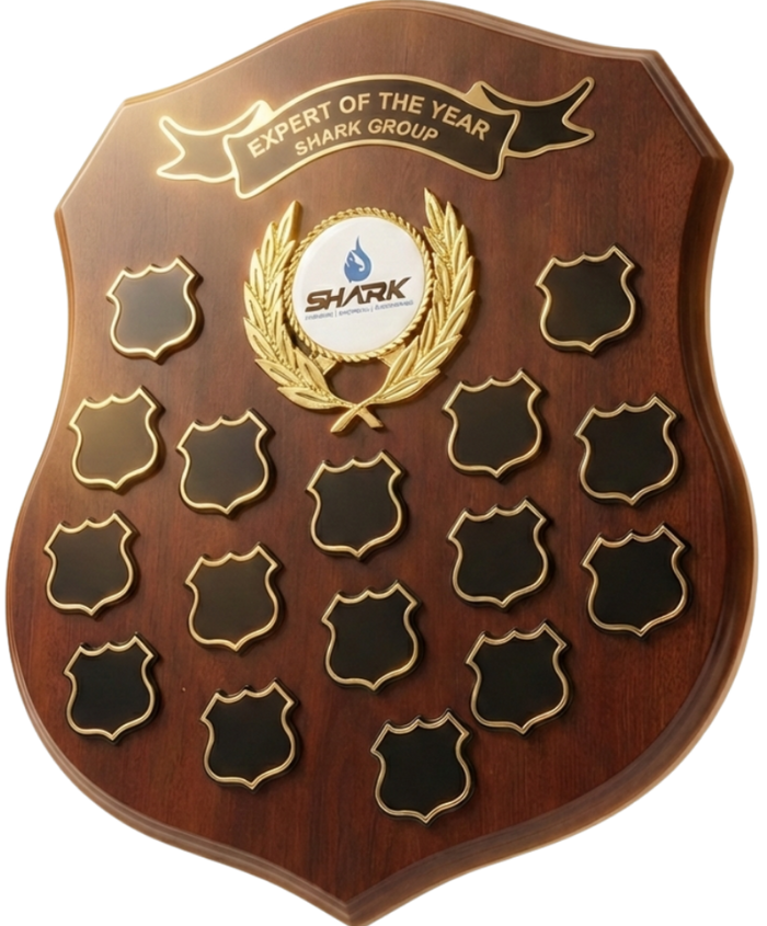 Expert of the Year Award